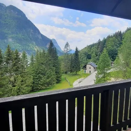 Cozy Family For Rest And Fun *