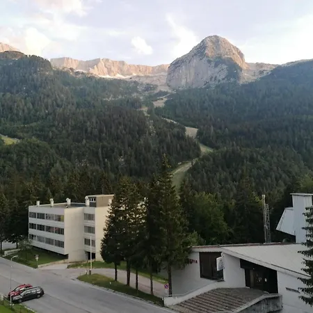 Cozy Family For Rest And Fun